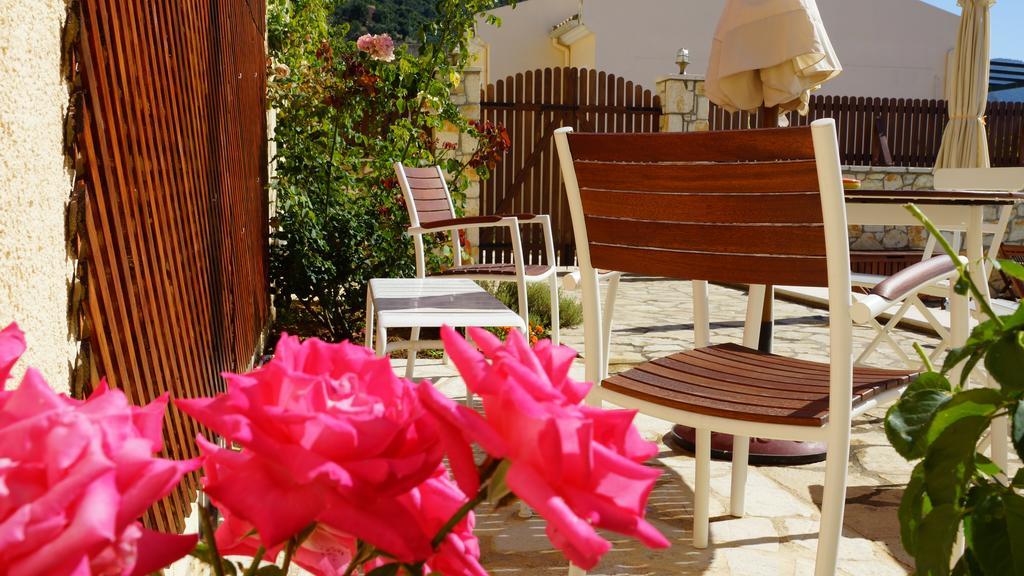 Villa Artemis Barbati Habitación foto